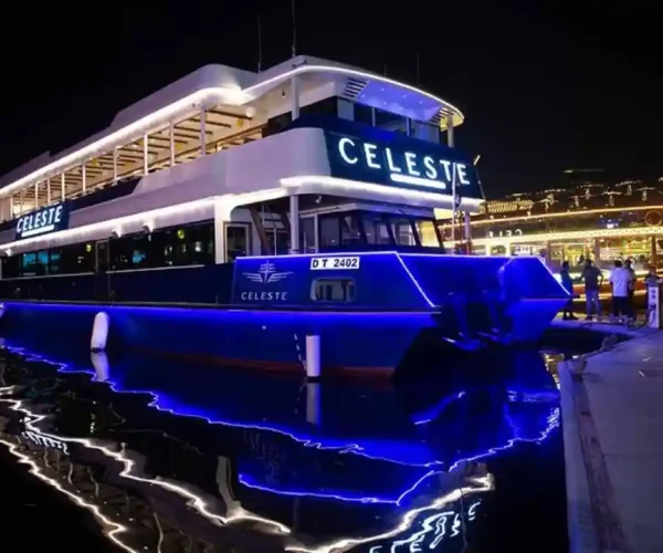 premier catamaran dinner cruise